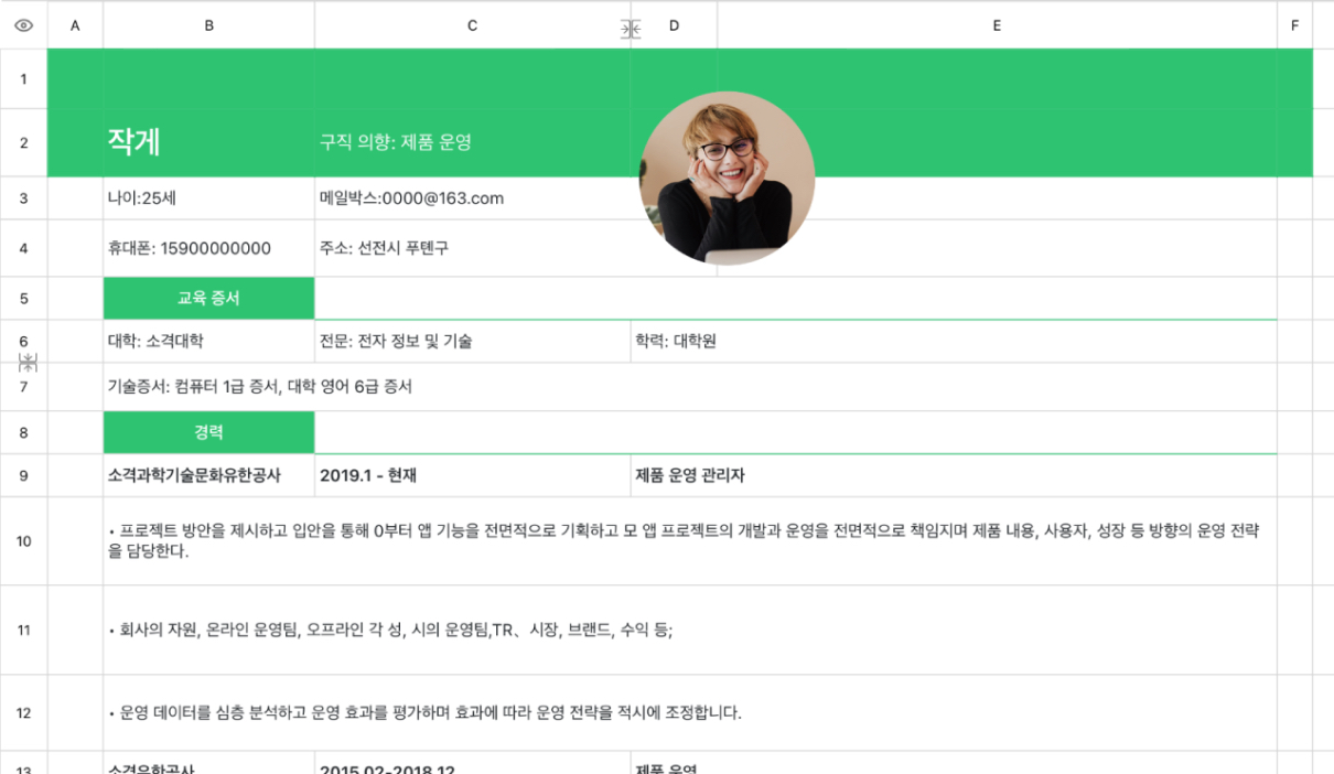 제품 운영 이력서